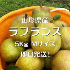 山形県産 ラフランス 5Kg Ｍサイズ