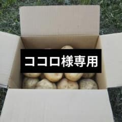 ココロ様専用のサムネイル