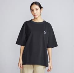 IL BISONTE イルビゾンテ × ミズノ UVカットロゴ刺繍Tシャツ - メルカリ