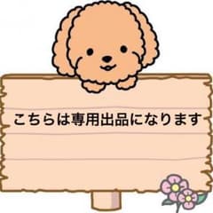 sumi☆様専用になりますのサムネイル