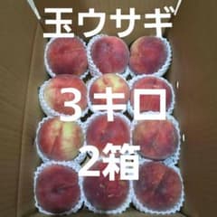 山形県産 桃 玉ウサギ詰め合わせ 訳ありのサムネイル