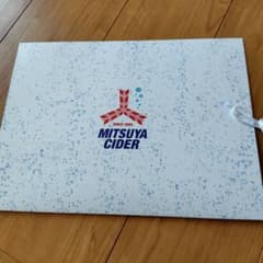 【＊週末値下げ＊】嵐 三ツ矢サイダー クリアファイル 懸賞 当選品 非売品のサムネイル