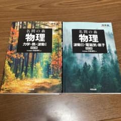 명문의 숲 물리 역학·열·파동 I / 파동 II·전자기·원자 사정판