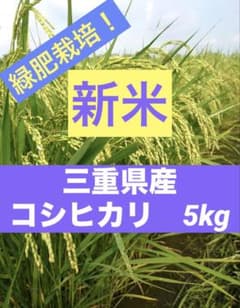【農家直送】新米 お米 令和8年 緑肥栽培！三重県産 コシヒカリ 白米５kgのサムネイル
