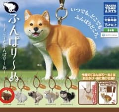ふんばり〜ぬ ガチャ トイプードルのサムネイル