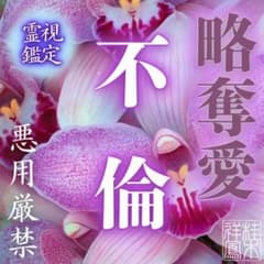 不倫・占い・霊視・片想い・復縁・結婚・ツインレイ・縁結び・縁切り・呪い・タロットのサムネイル