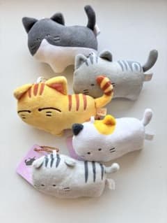 つぶらな瞳 猫セット まとめ売りのサムネイル