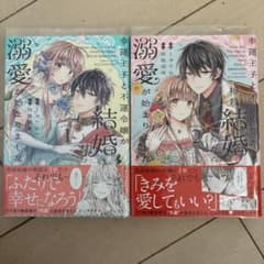 幸運王子と不運令嬢が相殺結婚したら溺愛が始まりました　1.2巻セットのサムネイル