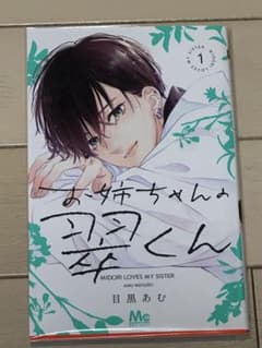 お姉ちゃんの翠くん 1巻のサムネイル