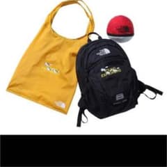THE NORTH FACE  Pokmon リュックサック ピカチュウコラボのサムネイル