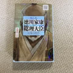 ビジネス小説 もしも徳川家康が総理大臣だったらのサムネイル