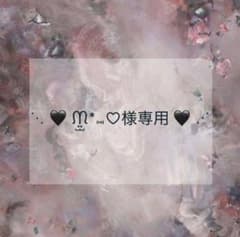 プレインシートのサムネイル