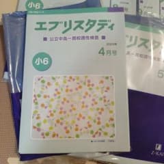Z会 エブリスタディ 公立中高一貫校適性検査 小6 2025年度 #新品のサムネイル