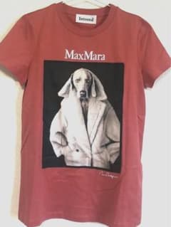 Intrend(MaxMaraアウトレット) 犬プリント Tシャツ XSサイズ Intrend(MaxMaraアウトレット) 犬プリント Tシャツ XSサイズ - メルカリ
