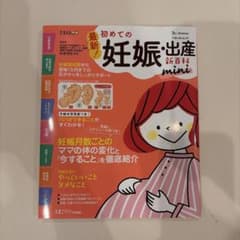初めての妊娠・出産新百科 mini たまひよのサムネイル