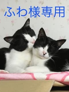 ☆ふわ様専用☆のサムネイル