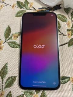 【訳あり】iPhone 13 Pro シルバー 本体　SIMフリー　256GBのサムネイル