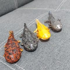 サンショウオ フィギアのサムネイル