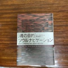 〈魂の目的〉ソウルナビゲーション あなたは何をするために生まれてきたのかのサムネイル