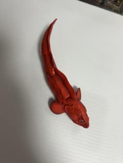 古代魚 ポリプテルス フィギュア 赤のサムネイル