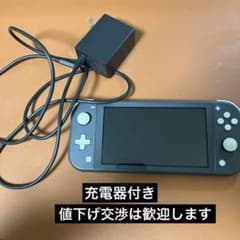 Nintendo Switch Lite グレー 充電器付きのサムネイル