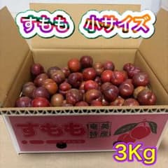 奄美大島産　すもも　小サイズ　3Kgのサムネイル