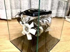 m11286403575_1.jpg?1713520365