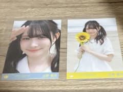 山野愛月 サマーツインテール 生写真のサムネイル