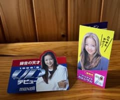 安室奈美恵 maxell UD アパタイトカルシウム 紙2枚セット 平成レトロ