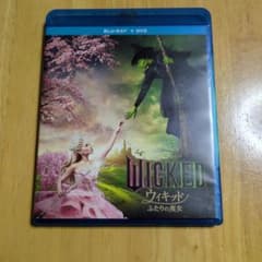 Wicked 위키드 두 마녀 Blu-ray + DVD 세트