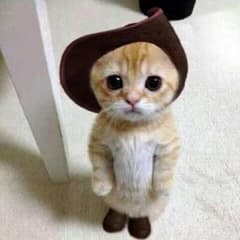 つんよん様専用のサムネイル