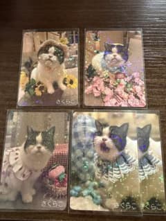 し　様専用のサムネイル