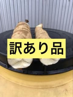 徳之島産キャッサバ生芋訳あり品3キロ入り - メルカリ