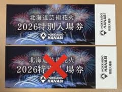 北海道芸術花火 2026 特別入場券 1枚 モエレ沼 芸術花火のサムネイル