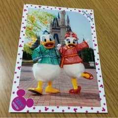 交渉中 スペシャルフォト スペフォ ドナデジのサムネイル