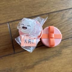 straykids skzoo ジニレット　ぷくっとバースデークリアリングのサムネイル