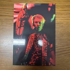 長谷川慎 ポストカード PRIMAL SPIDER - メルカリ