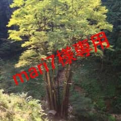 mari7様専用のサムネイル