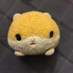 ぬいぐるみのサムネイル