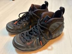 NIKE AIR FOAMPOSITE PRO セコイア 27cm US9のサムネイル