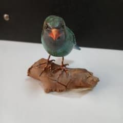 새 나무 조각 입상 물건