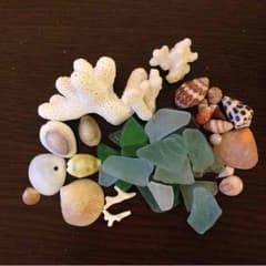沖縄のシーグラス、貝殻セットのサムネイル
