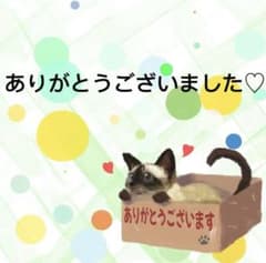 【9414】海外マステ　10m巻　貝殻光マスキングテープ古風　文字　お花　背景系 9849】海外 マステ 4/8/巻 貝殻光マスキングテープ猫xお花 春 装飾系