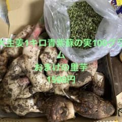 大生姜1キロ青紫蘇の実100グラム1500円のサムネイル