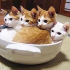 STM@プロフ必読様専用☆のサムネイル