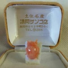 エリ様用ピンクの珊瑚のサムネイル