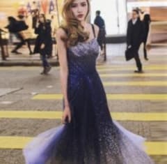 定価¥16600 スパンコール　ロングドレスのサムネイル