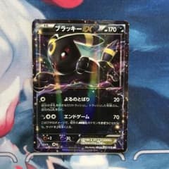 ブラッキーEX RR XY BREAK 拡張パック めざめる超王 キラ 042… - メルカリ