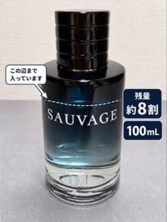Dior SAUVAGE ソヴァージュ 香水100ml オードゥ トワレのサムネイル