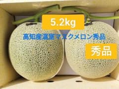 高知産 贈答用 大玉マスクメロン 秀品 2玉 5，2kg 北海道沖縄発送